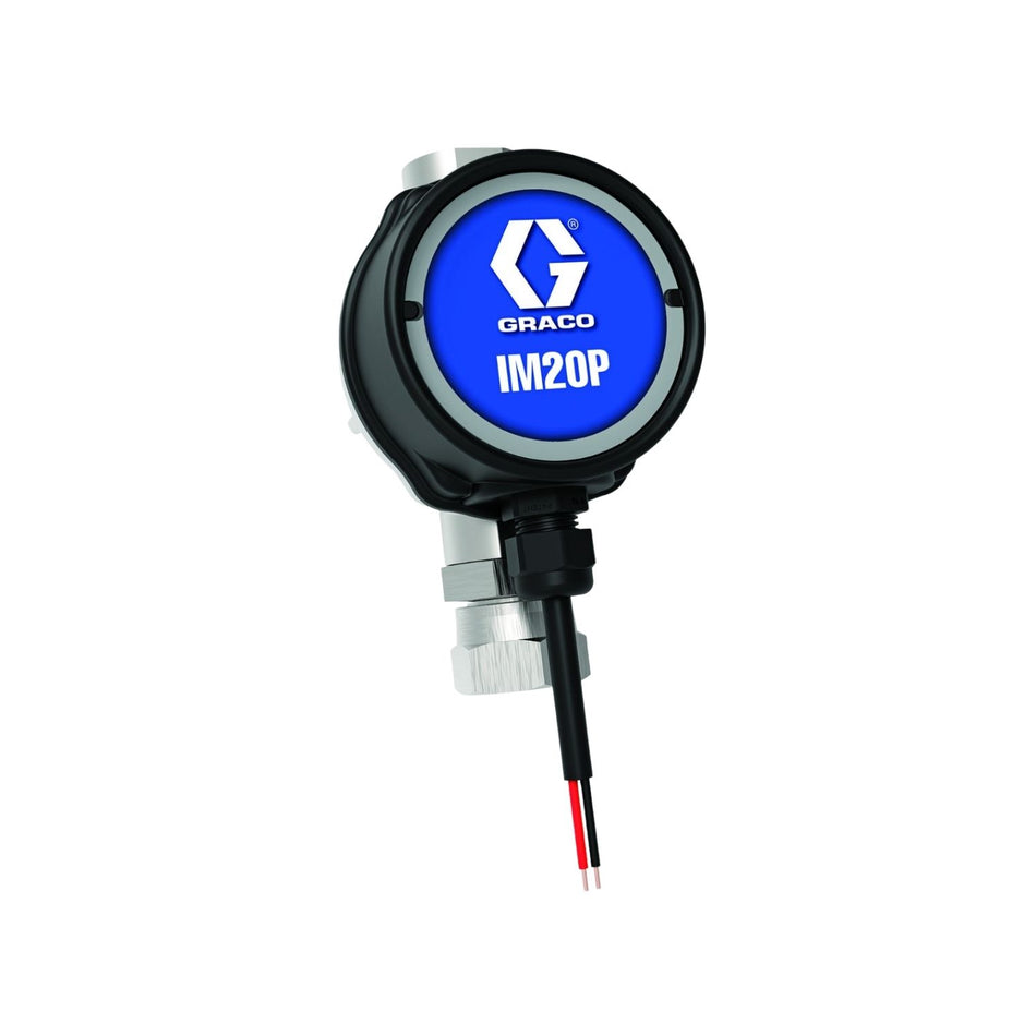 Graco IM20 In-Line Electronic Meter #133480, AlamoEquipment.com